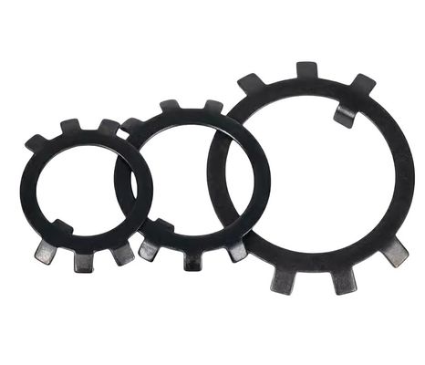 Lavadoras de seis garras de aço carbono de acabamento simples com oito fechaduras, placa de bloqueio anti-solta M6 M8 M10 M12M14 M16M18M20M22M24M27m30