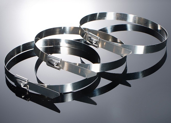 Padrão ISO 100pcs Cable Ties de aço inoxidável 12mm para aplicações industriais
