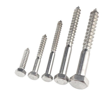 Sistema de medição métrico A2 A4 Hex Lag Screw aço inoxidável 304 316 Din 571 Wood Lag Screw