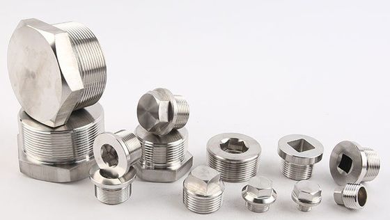 Fecho laríngeo 304 aço inoxidável Hexagon Flange exterior Fechado para enchufe de tubulações de óleo e água