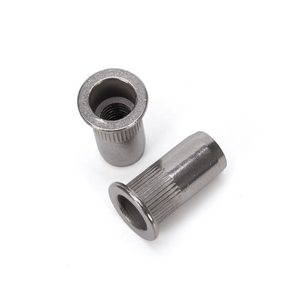 Finitura simples de extremo fechado cabeça plana porco de rivet M8 M10 para indústria pesada e material resistente à corrosão SS304
