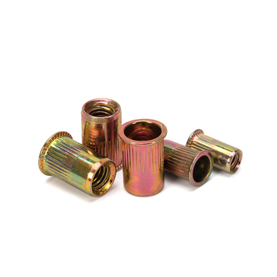 Metric DIN Standard Color Zinc Plated Big Round Flat Head Knurled Body Rivet Nut para a Indústria de Saúde Ferramenta essencial