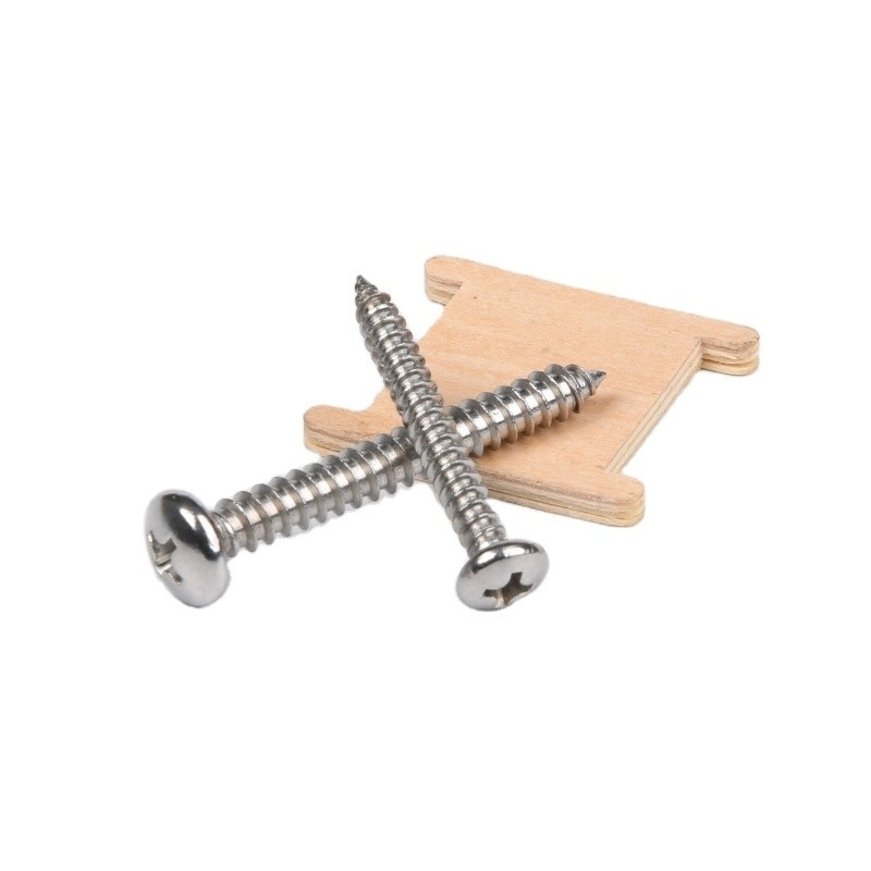 Metric SS304 SS316 aço inoxidável M2.5 JIS Phillips Flat Head Self Tapping Screw para metal no JIS Standard