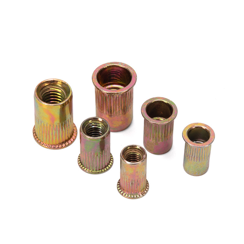 Metric DIN Standard Color Zinc Plated Big Round Flat Head Knurled Body Rivet Nut para a Indústria de Saúde Ferramenta essencial