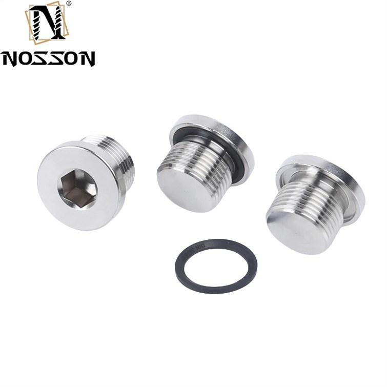 Tubo de aço inoxidável DIN908 Hex Socket Head Screw Plugs
